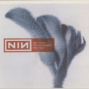 Nine Inch Nails vinyl Day The World Went Away